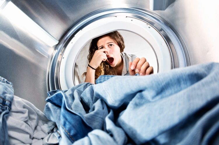 Why Does My Washing Machine Smell? Domex Ltd